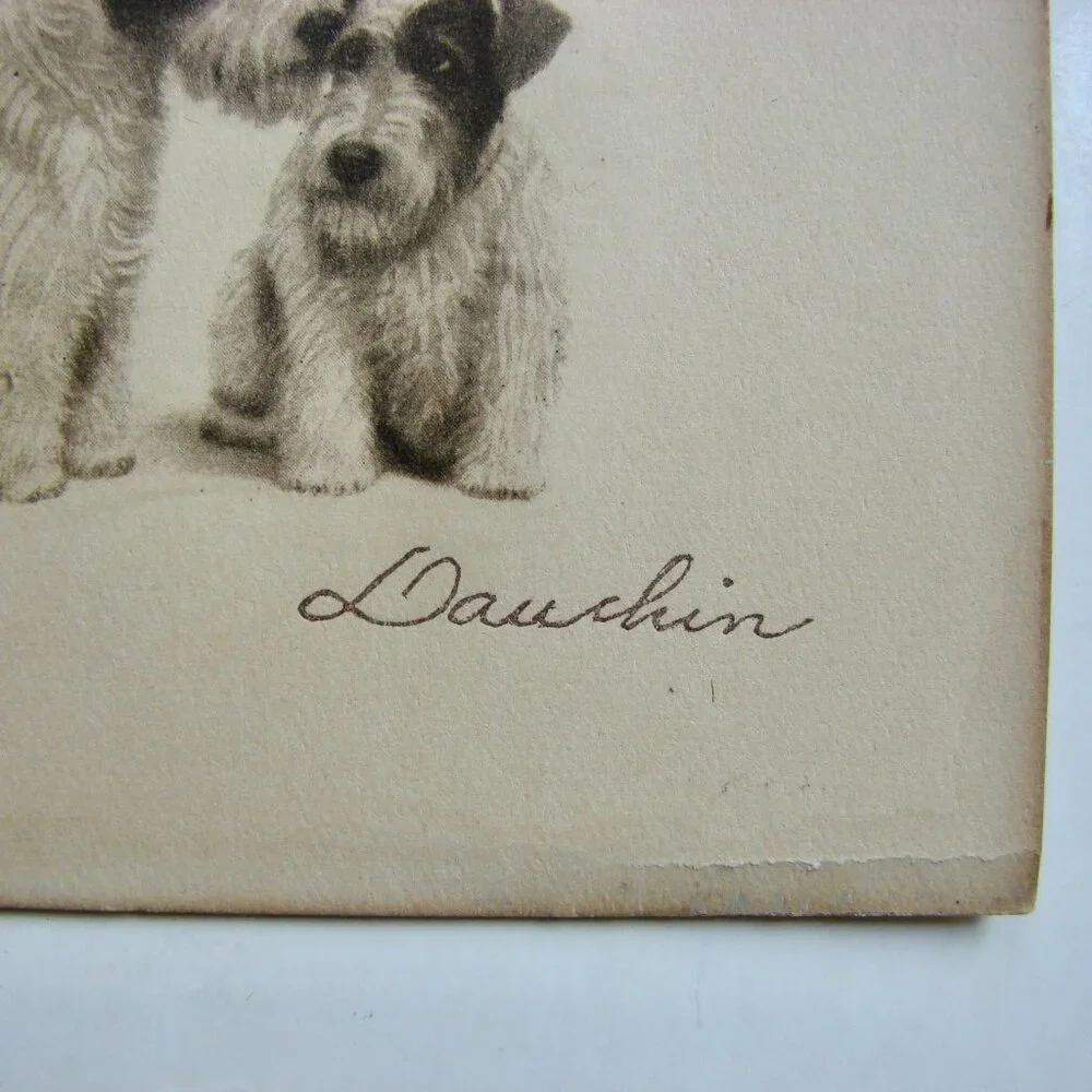 Vintage Antique Dog Art Etching Prints Terriers Chow Samoyed New York 5" x 4" - Picture 11 of 11